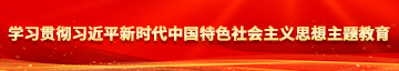 日本透逼视频学习贯彻习近平新时代中国特色社会主义思想主题教育